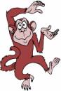 Picture of a Monkey Dancing. Don't Collect Monkeys